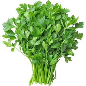 Hara Dhania 1bunch